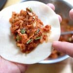 Kimchi Dumplings